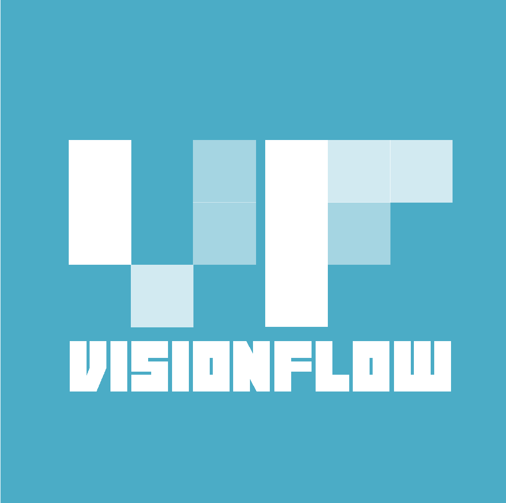 VisionFlow Group